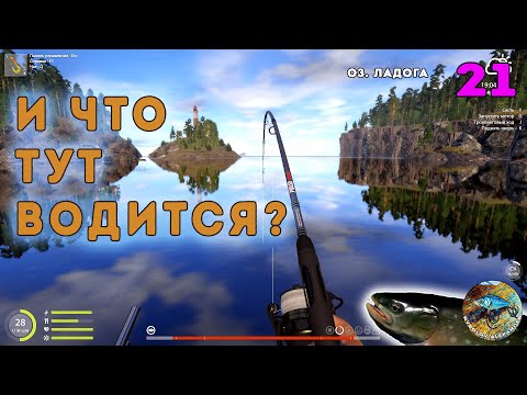 Видео: Изучаю Ладогу - СПИННИНГ - Русская рыбалка 4 (РР4) - #21
