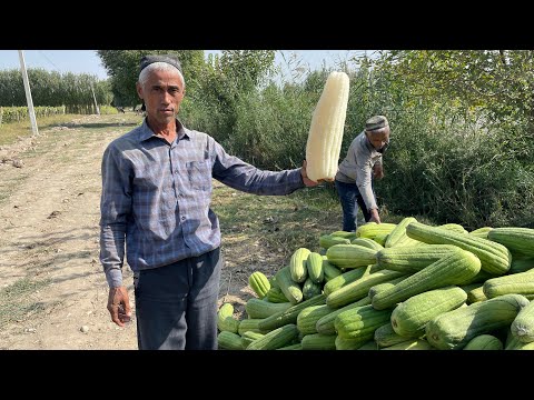 Видео: Не ожидал , что Это Увижу в Узбекистане!!!Ферганская Долина!!!