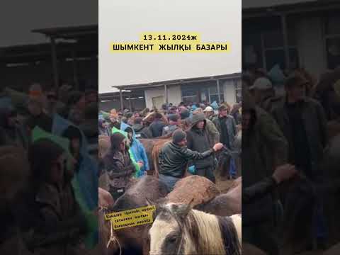 Видео: Шымкент Жылқы базар 2024 ж #малбазар #малбазаршымкент