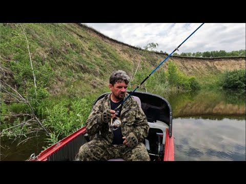 Видео: Рыбалка на Оби ( Сузун ) 18 июня 2023г. Обделенная вниманием маленькая речка.
