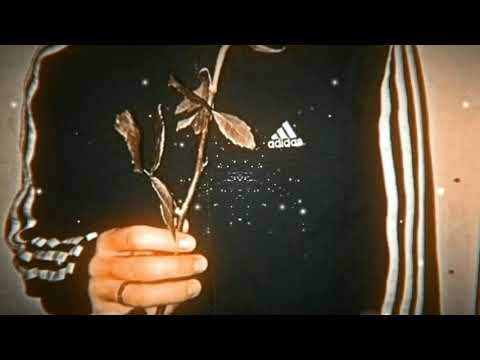 Видео: Тату на теле ночи в отеле ( s l o w e d + r e v e r b ) 🥀