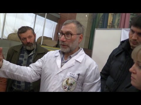 Видео: Влияние длительности светового дня на птиц. Вахрамеев А.Б.