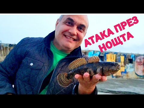 Видео: Майсторски риболов на хищно каменно попче - ГИГАНТ през нощта! Атакува изневиделица на парче рибка!