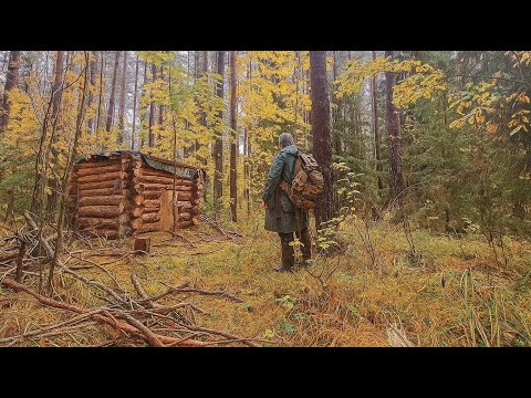 Видео: КАК ТАЁЖНАЯ ИЗБА ПЕРЕЖИЛА УРАГАН? В ЛЕСУ ПОСЛЕ НЕНАСТЬЯ! ЗОЛОТАЯ ОСЕНЬ В ТАЙГЕ. ДИКАЯ КУХНЯ!