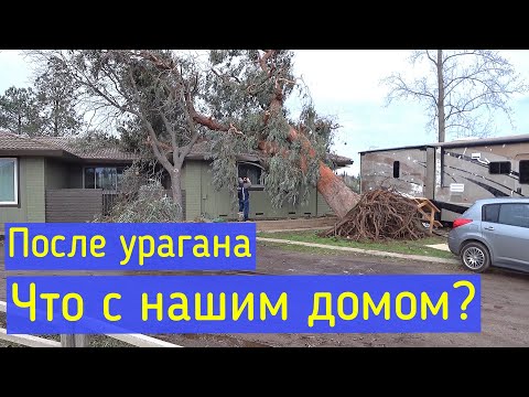 Видео: Дерево упало на наш дом