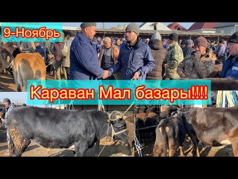 Видео: Караван Мал базары!!!! 9-Ноябрь СООНУН БАЗАР БОЛДУ