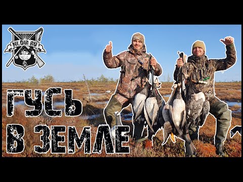 Видео: Охота на гуся Сломали каракат Заблудились в болоте Голодали сутки Ночевали в заброшенной избе
