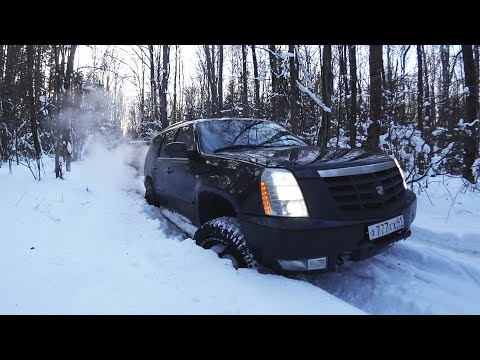 Видео: тяжелый люкс на 43 тракторах