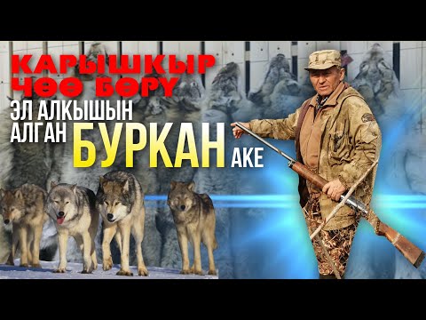 Видео: Карышкыр терилер