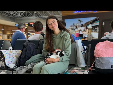 Видео: Перелет с котами из другой страны | Самостоятельная пересадка | Сербия | Турция | Документы