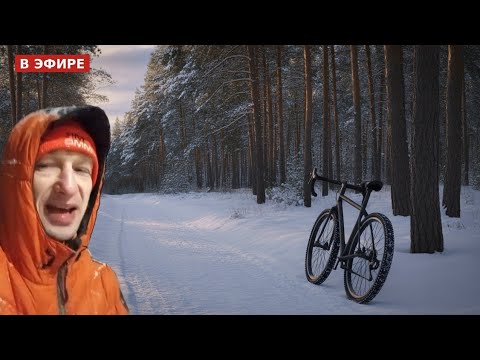 Видео: ЗИМНИЙ ВЕЛОСТРИМ. ОТГОНЯЕМ МАМИН Велосипед #красноуральск #live #shorts