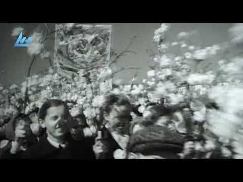 Видео: «Старый город». Как выглядел Петрозаводск шестьдесят лет назад