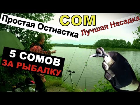 Видео: ЭТА НАСАДКА КОСИТ СОМА . Рыбалка - 5 СОМОВ ЗА 7 ЧАСОВ.  ЛОВЛЯ СОМА на закидушку.