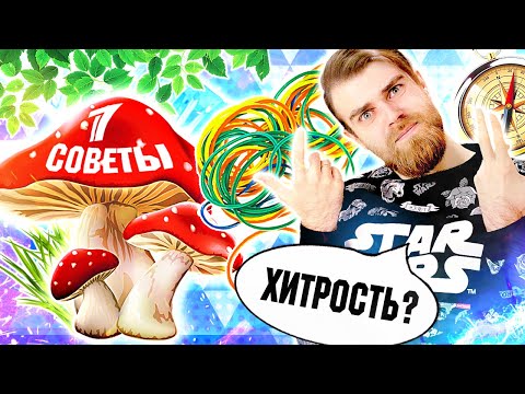 Видео: Треш ОБЗОР советы от ПЕРВОГО канала - сушим ГРИБЫ и натягиваем РЕЗИНКУ