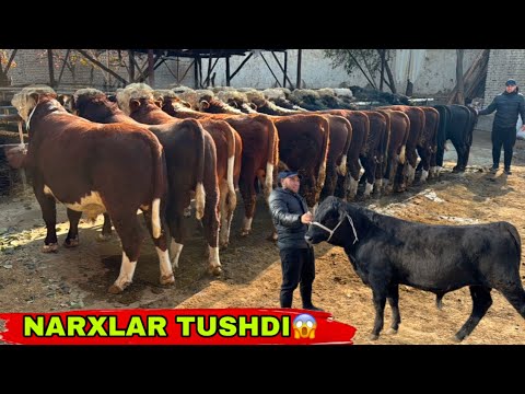 Видео: ARZONCHIDAN MEGA BONUS NARXLAR BOSHLANDI✅✅✅6 ноября 2025 г.