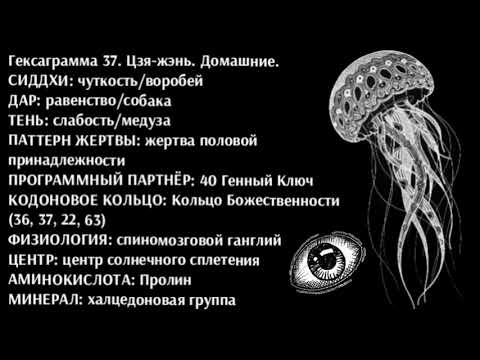 Видео: 37 генный ключ. Тень Слабости.