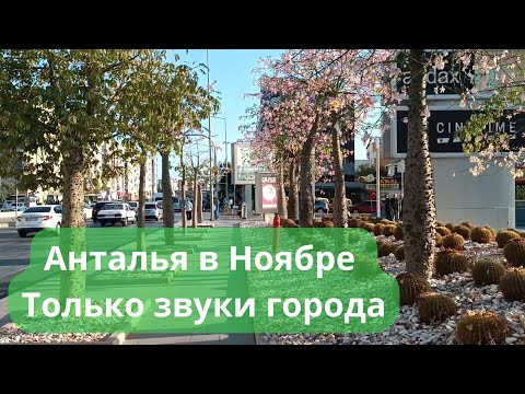 Видео: Прогулка по осенней Анталье в ноябре 2024. Красиво, тепло и уютно