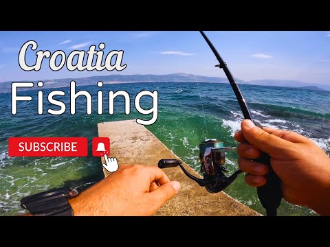 Видео: Рыбалка в Хорватии на Саргана | 2023
