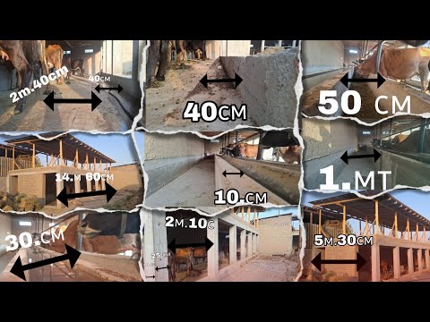 Видео: 🤷‍♂️БОЗ ЯК МОЛХОНА (ОГИЛ) АЗ АБДУЛЛО ФЕРМЕР ПРОЕКТИ НАВ🤷‍♂️. 6 июля 2025 г