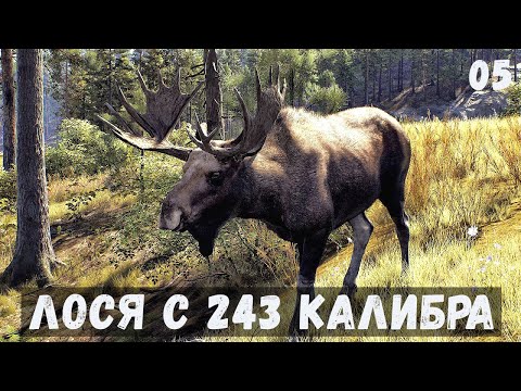 Видео: ПЕРВЫЙ ЛОСЬ -  Way of the Hunter -  ВЗЯЛ РАБОТУ.  ОХОТА НА БОЛОТЕ # 05