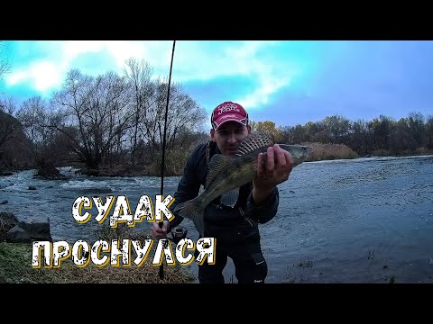 Видео: Судак проснулся. Вечерняя рыбалка на Южном Буге.