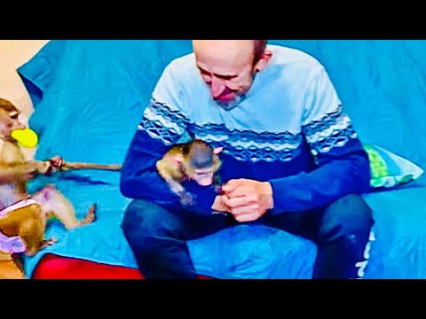 Видео: РЕВНОСТЬ Люськи не знает границ, она просто ЗА ХВОСТ оттаскивает Степашку от папы Влада!