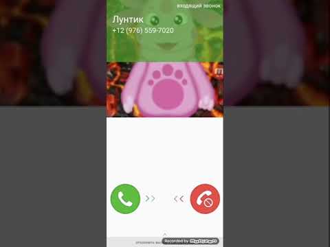 Видео: Опять звонит Лунтик!!! Но он хочет что-то другое...