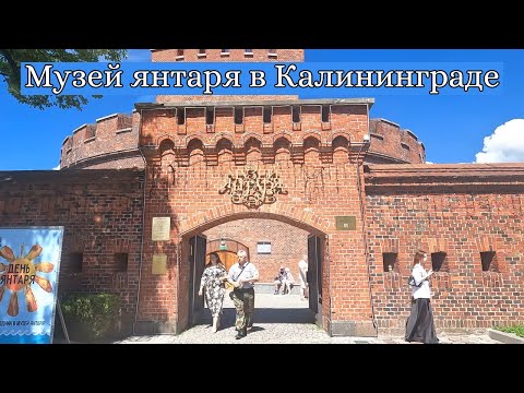 Видео: Музей янтаря в Калининграде | Amber Museum