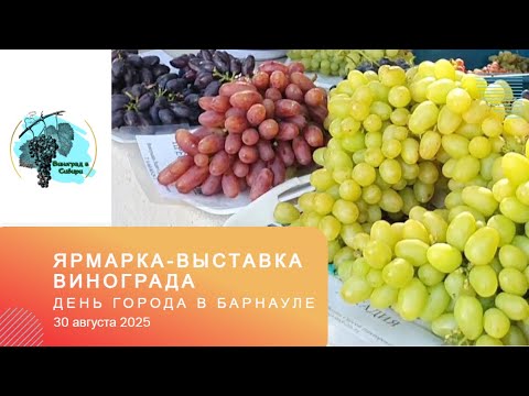 Видео: Ярмарка-выставка. День города в Барнауле 30.08.2025