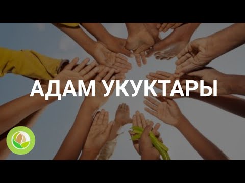 Видео: Жибек Орозбекова - 01 - Адам укуктары