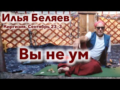 Видео: Илья Беляев ✨ Вы не ум (Киргизия. Сентябрь 23_3)