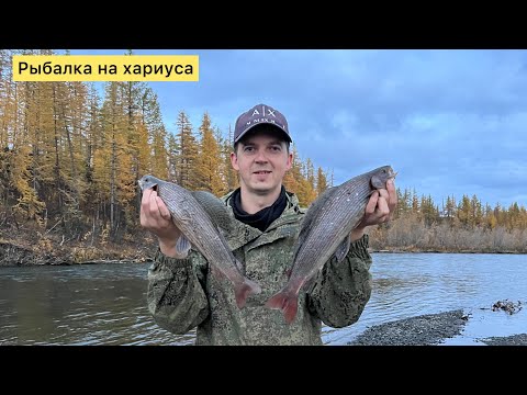Видео: Рыбалка в живописном месте. Ловим хариуса. Ночуем на реке Валек. Рыбалка в Норильске.
