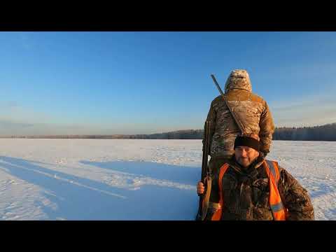 Видео: Закрытие сезона на Сибирскую косулю. Стрельба с МЦ 106-12 картечью 5, 6мм.