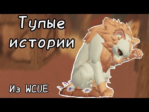 Видео: Глупые истории из WCUE