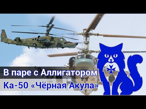 Видео: Ка-50 "Чёрная акула" - На Кавказе в паре с Аллигатором (DCS World Stream) | WaffenCat
