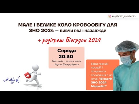 Видео: Мале і велике коло кровообігу для ЗНО 2024 - вивчи раз і назавжди