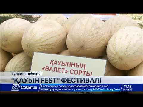 Видео: Түркістандық диқандар биыл қауын-қарбыздан 1 млн 330 мың тонна өнім алған