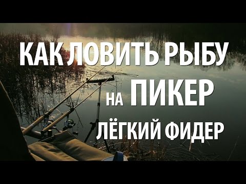 Видео: ПИКЕРНАЯ ЛОВЛЯ для НАЧИНАЮЩИХ. ЛОВЛЯ на ПИКЕР (лёгкий фидер) в ГОРОДЕ