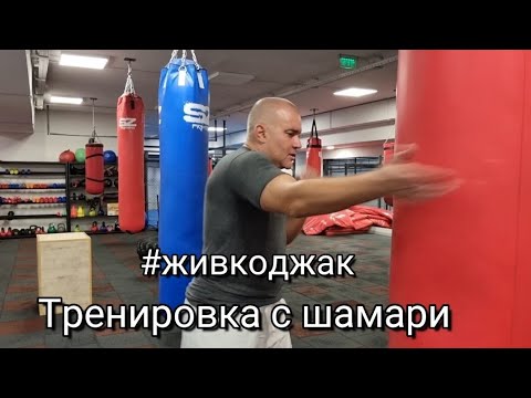 Видео: Шамари - Тренировка с шамари. Много полезна за всеки боен спорт с удари.