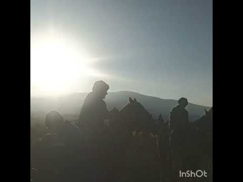 Видео: Сарбан айылында болгон жер улак, Москва районунун 40 жаш байкелер 2 орунга ээ болду 