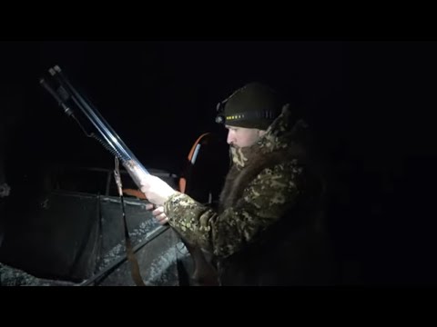 Видео: Охота на бобра с фонарём #23 castor fiber \ Картечью самое то