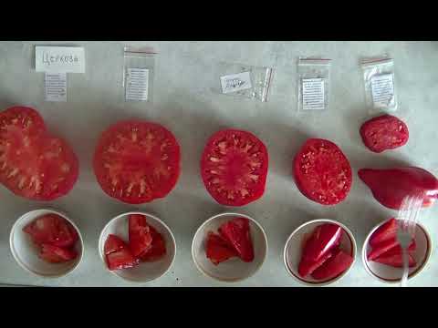 Видео: Дегустация помидоров 2025 № 39