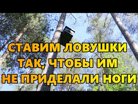 Видео: Ставим ловушки так, чтобы им не приделали "ноги".