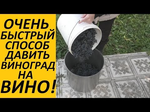 Видео: Как очень быстро давить виноград на вино