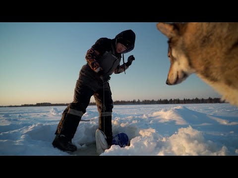 Видео: Однажды Зимой