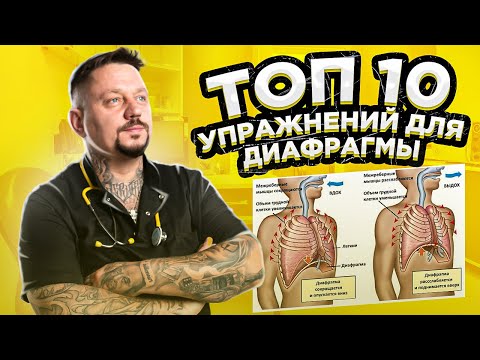 Видео: Диафрагма ТОП 10 упражнений для диафрагмы