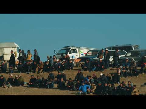 Видео: Лейлек Аламан улак