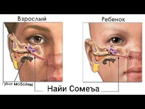 Видео: Сабабҳои  Душвор Нафаскаши бо Бини! Причины затруднения дыхания через нос!