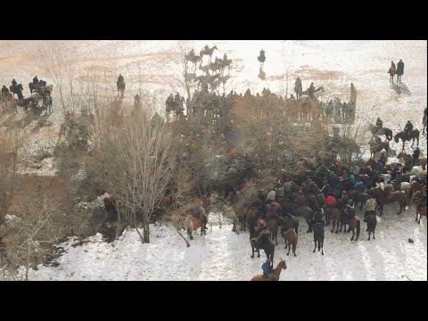 Видео: Аламан улак Гүлчө 2024. 1-бөлүк