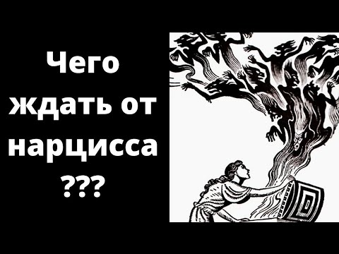 Видео: Как ведёт себя нарцисс после расставания? Пустые обещания, пинги, крокодильи слёзы и многое другое